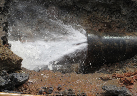 1658805250252955.jpg c4b0ca6e-1231-418c-934c-7315e274c6b9.jpg